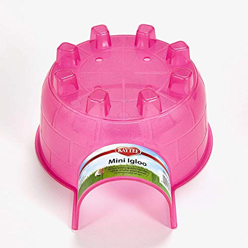 Super Pet Igloo Hide-Out - Mini - Assorted  