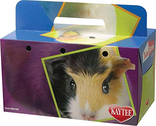 Super Pet Take-Home Box for Small Animals - Large - Pack of 100  