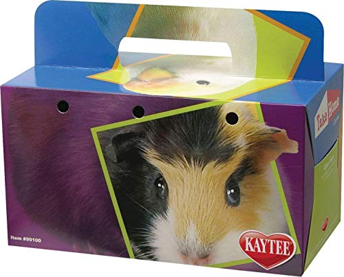 Super Pet Take-Home Box for Small Animals - Large - Pack of 100
