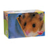 Super Pet Take-Home Box for Small Animals - Medium - Pack of 200  