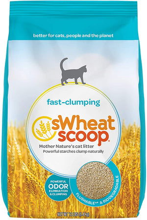 Swheat Scoop Fast Clumping Wheat Regular Cat Litter - 12 lb Bag