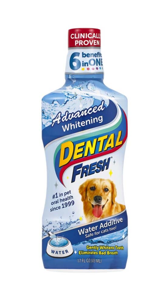 Synergy Labs Advanced Whitening Liquid for Dogs - 17 fl Oz  