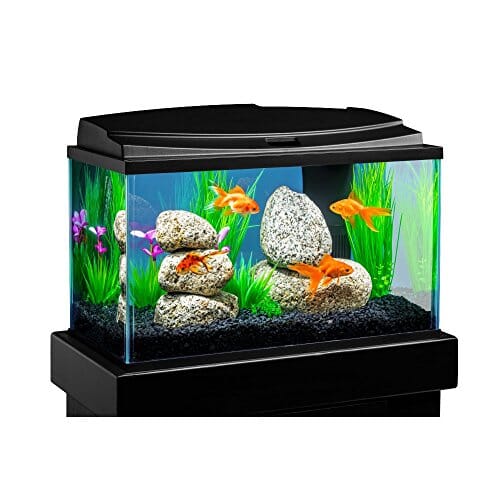 Tetra Goldfish LED Aquarium Kit Aquatics Starter Kits - 10 Gal - 20 X 10 X 12  