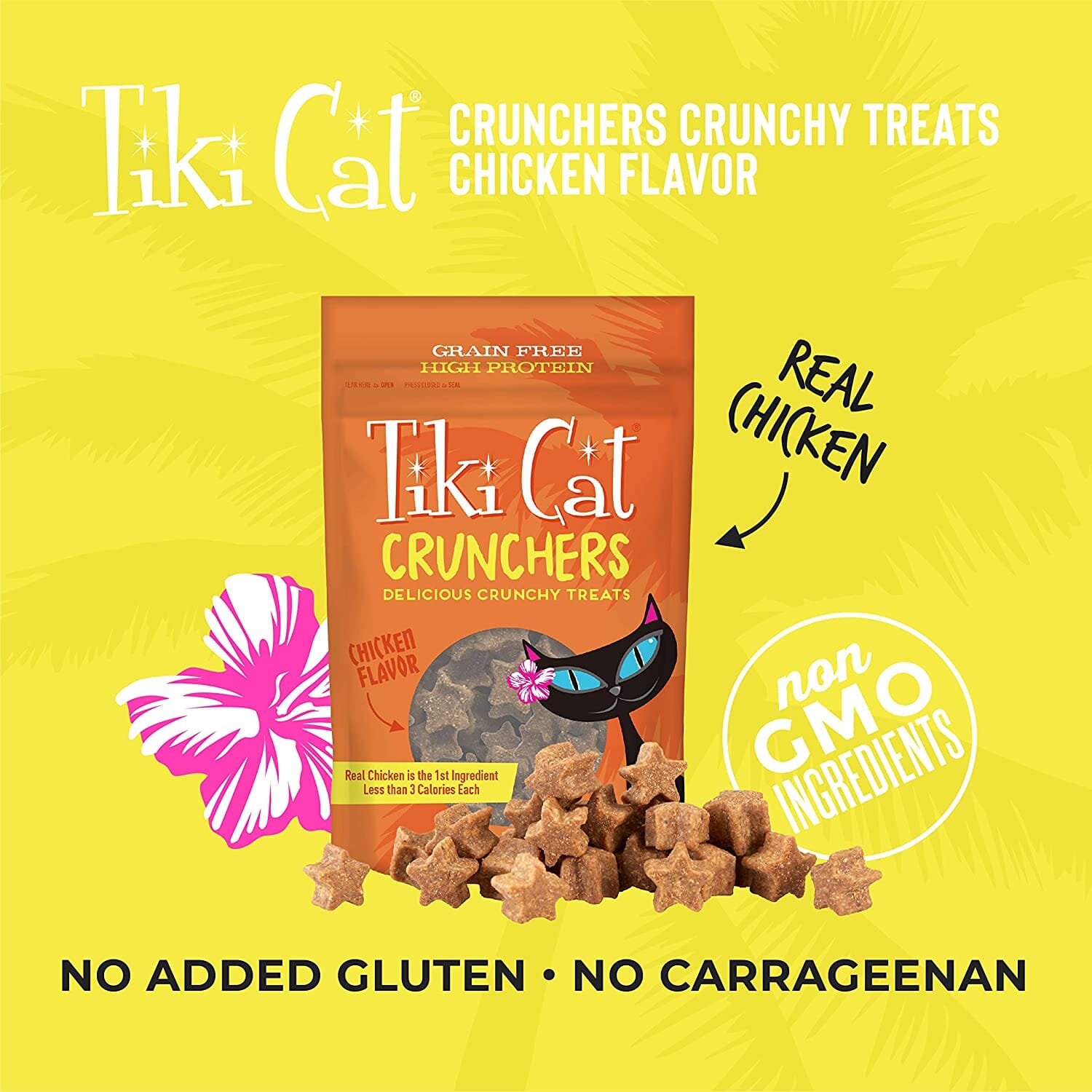 Tiki Cat Crunchers - Chicken & Pumpkin Cat Food Toppers - 2 Oz Pouch - Pack of 6  