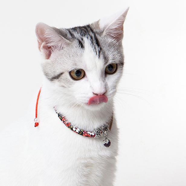 Touchcat Lucky Charms Designer Cable Necklace Cat Collar  