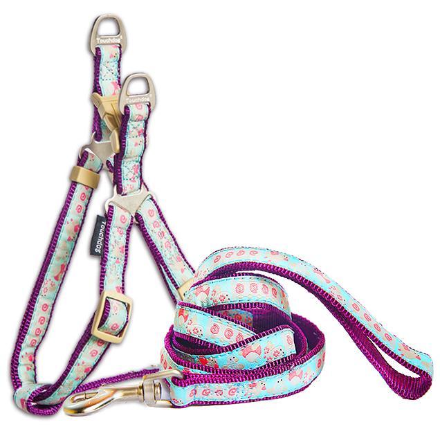 Touchdog 'Avery Patterned' Tough Stitched Dog Harness and Leash
