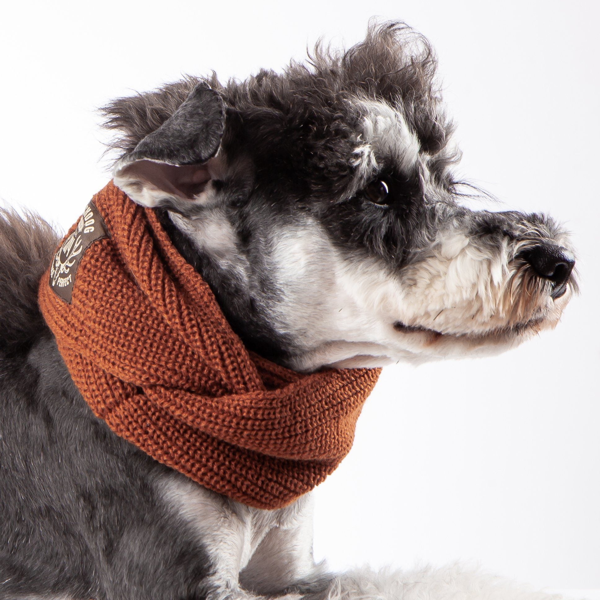 Touchdog Heavy Knitted Designer Fashion Winter Dog Scarf Coffee 