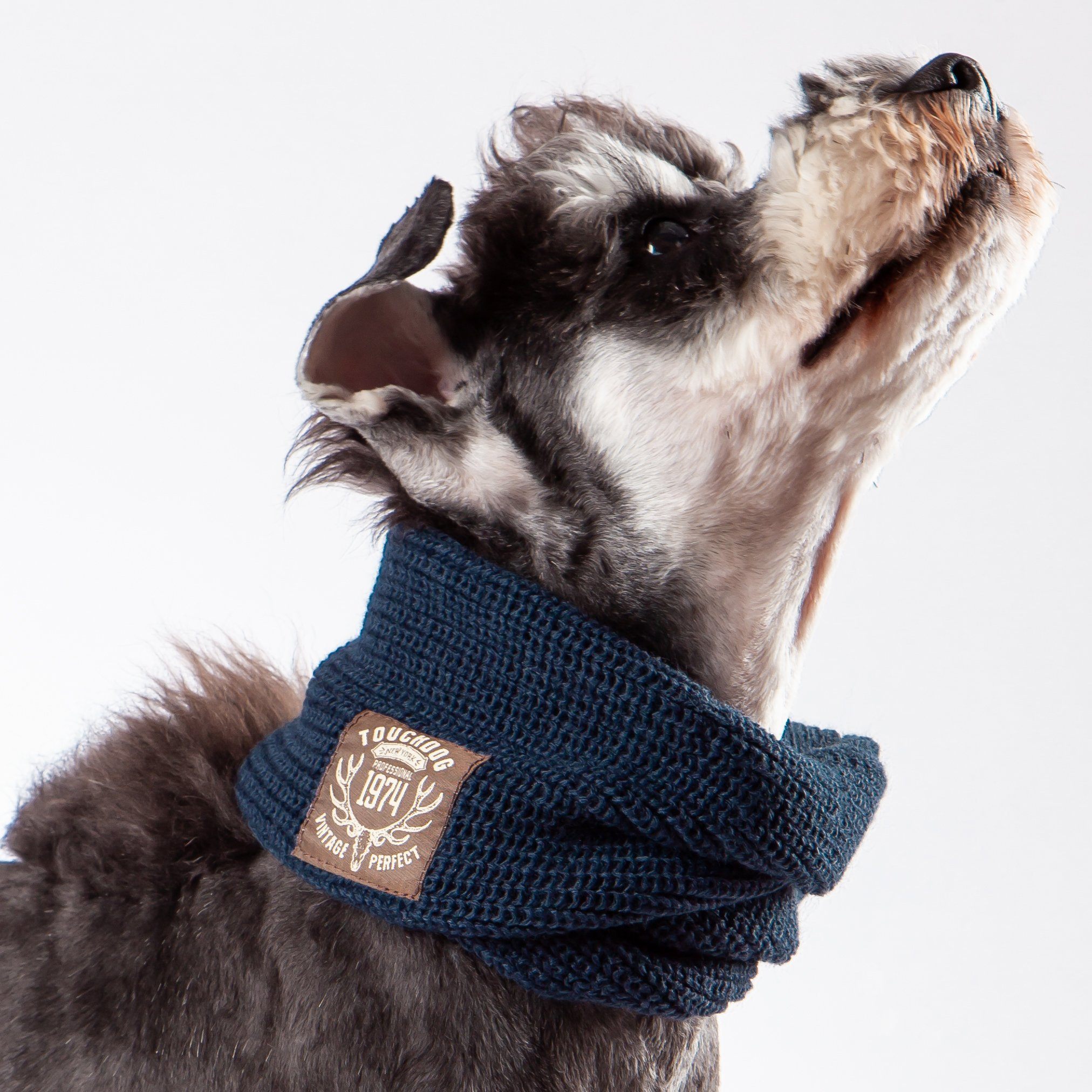 Touchdog Heavy Knitted Designer Fashion Winter Dog Scarf Navy 