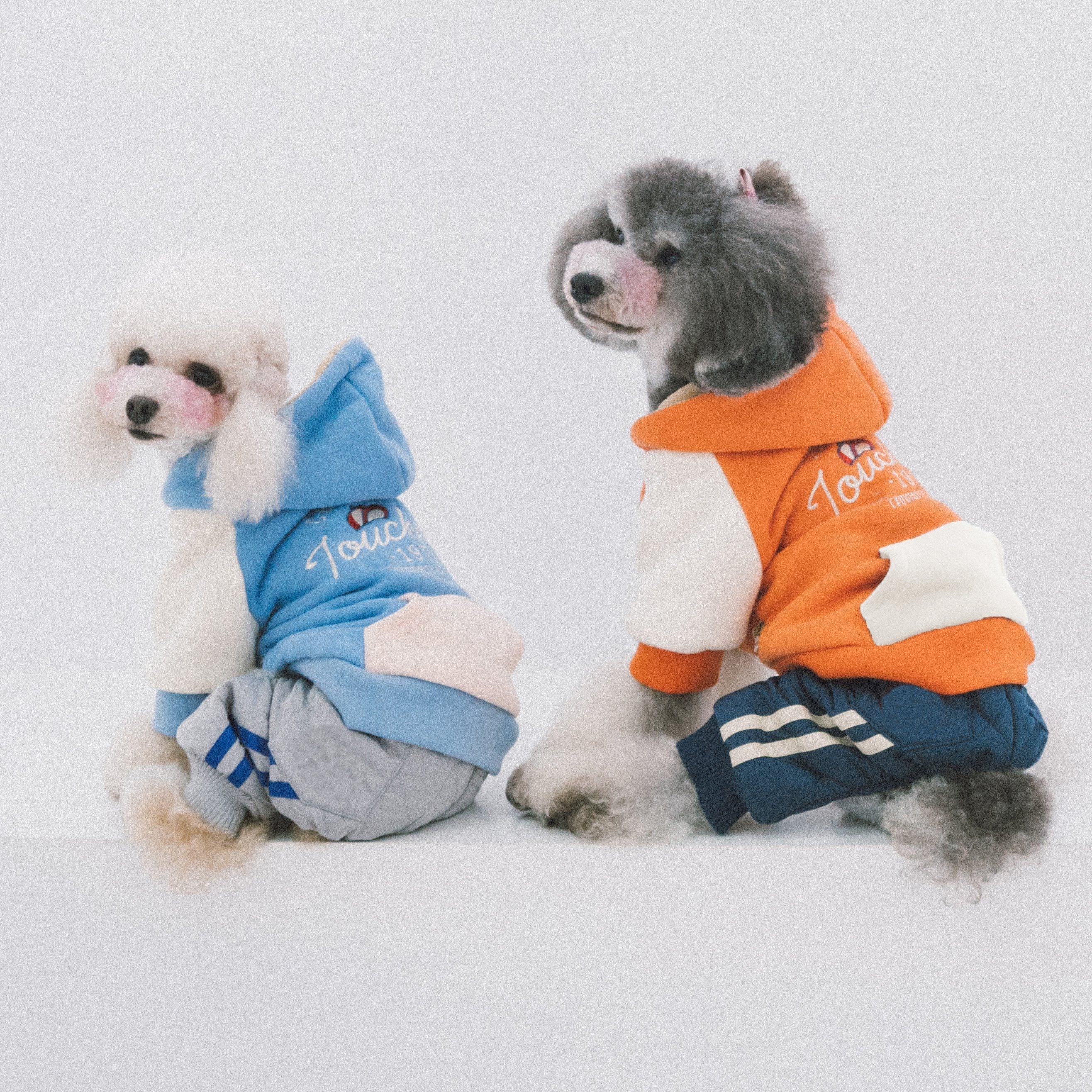 Touchdog 'Heritage' Soft-Cotton Fashion Dog Hoodie Sweater  