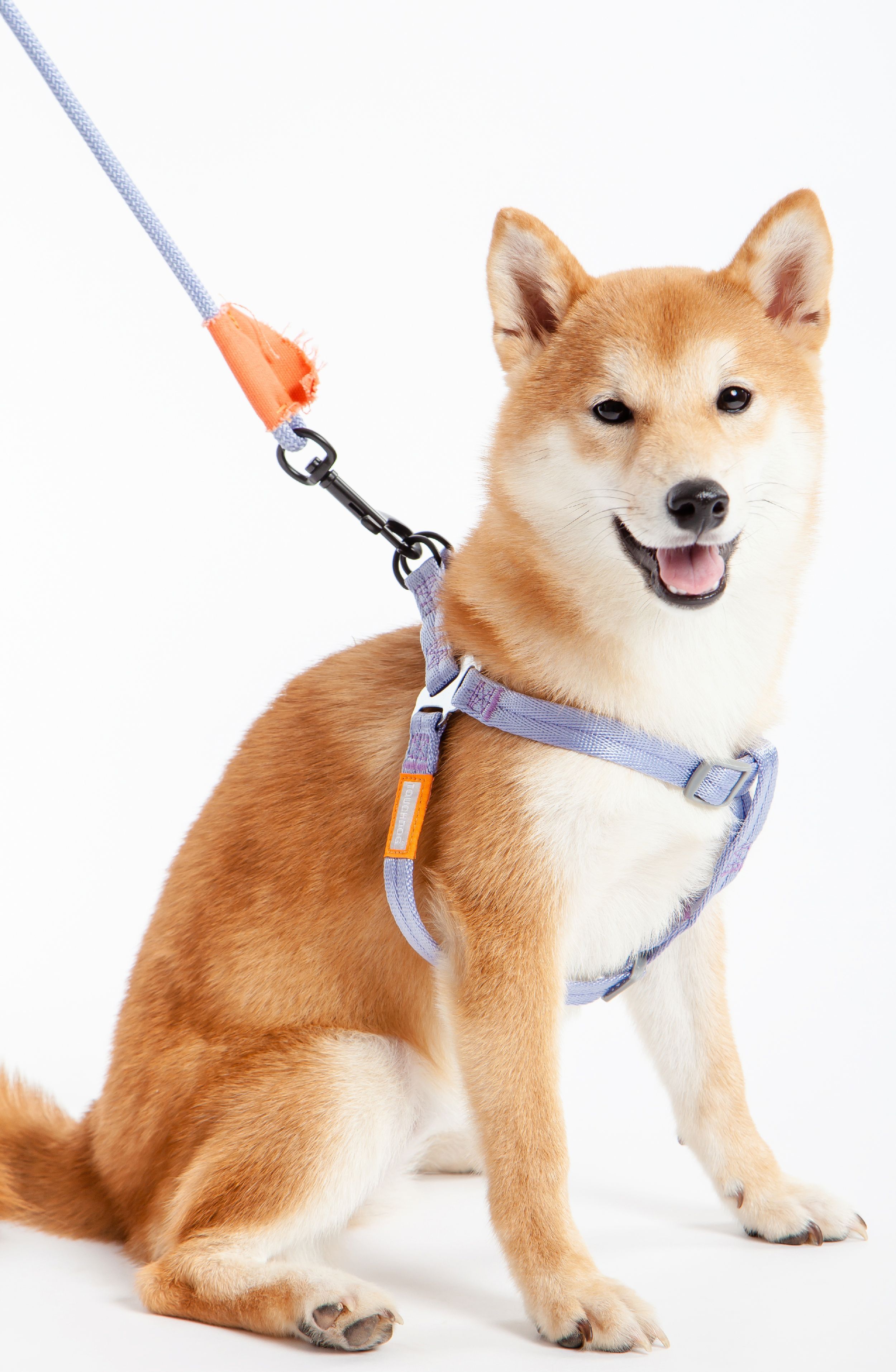 Touchdog ® 'Macaron' 2-in-1 Durable Nylon Dog Harness and Leash  