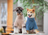 Touchdog ® 'Modress' Fashion Designer Dog Sweater and Dress  