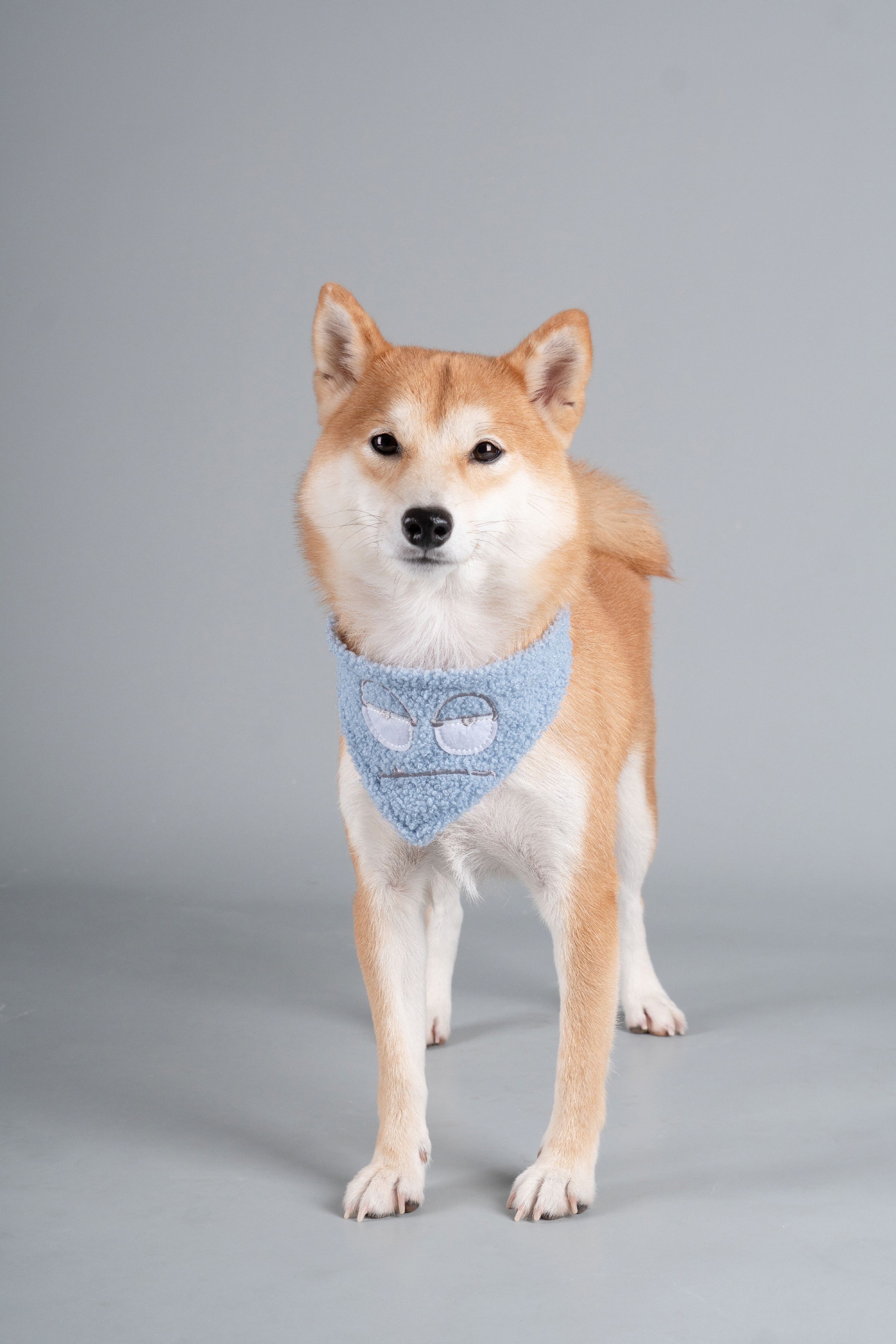 Touchdog ®'Dizzy-Eyed Cyclops' Cotton Hook-and-Loop Dog Bandana and Scarf  