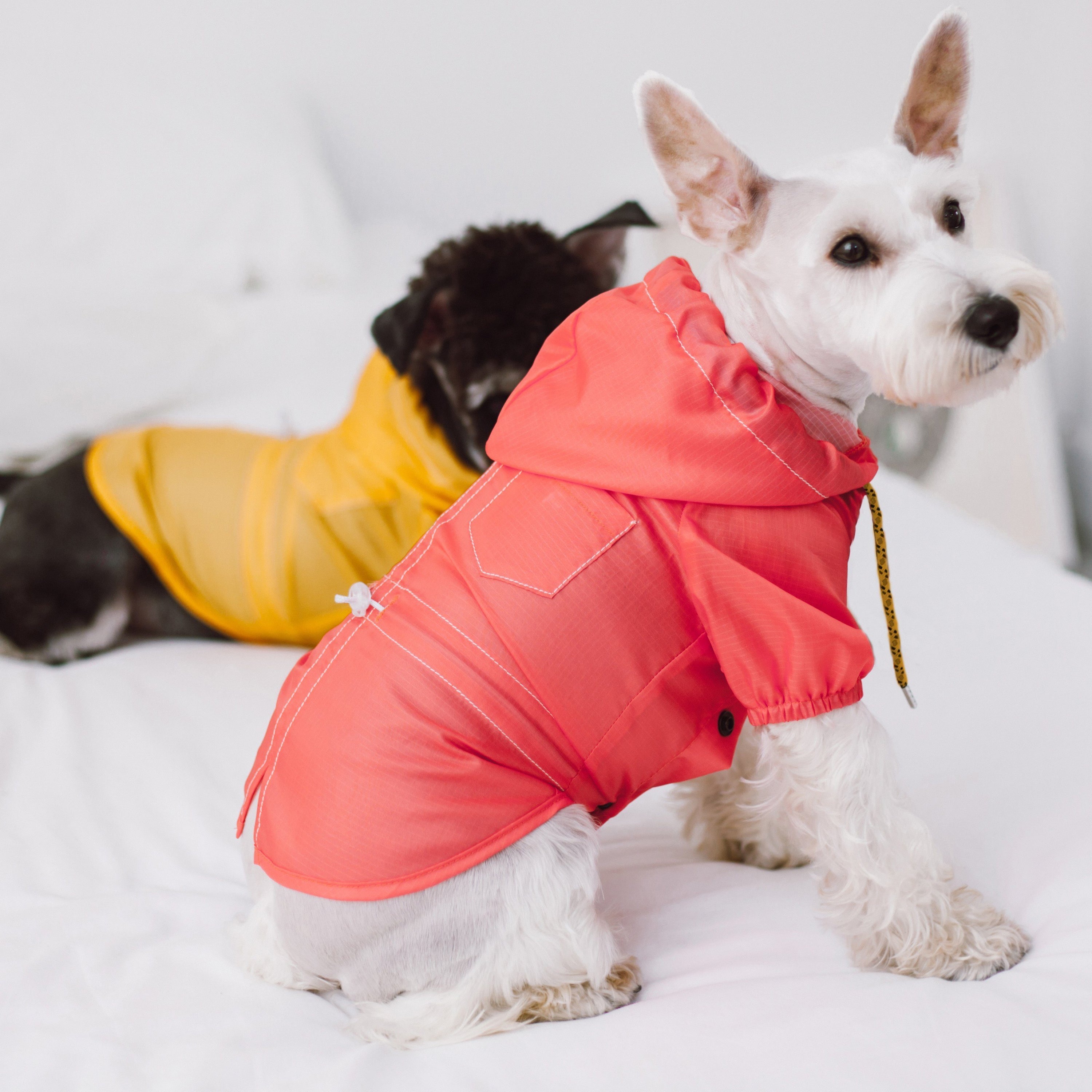 Touchdog Split-Vent Designer Waterproof Dog Raincoat  