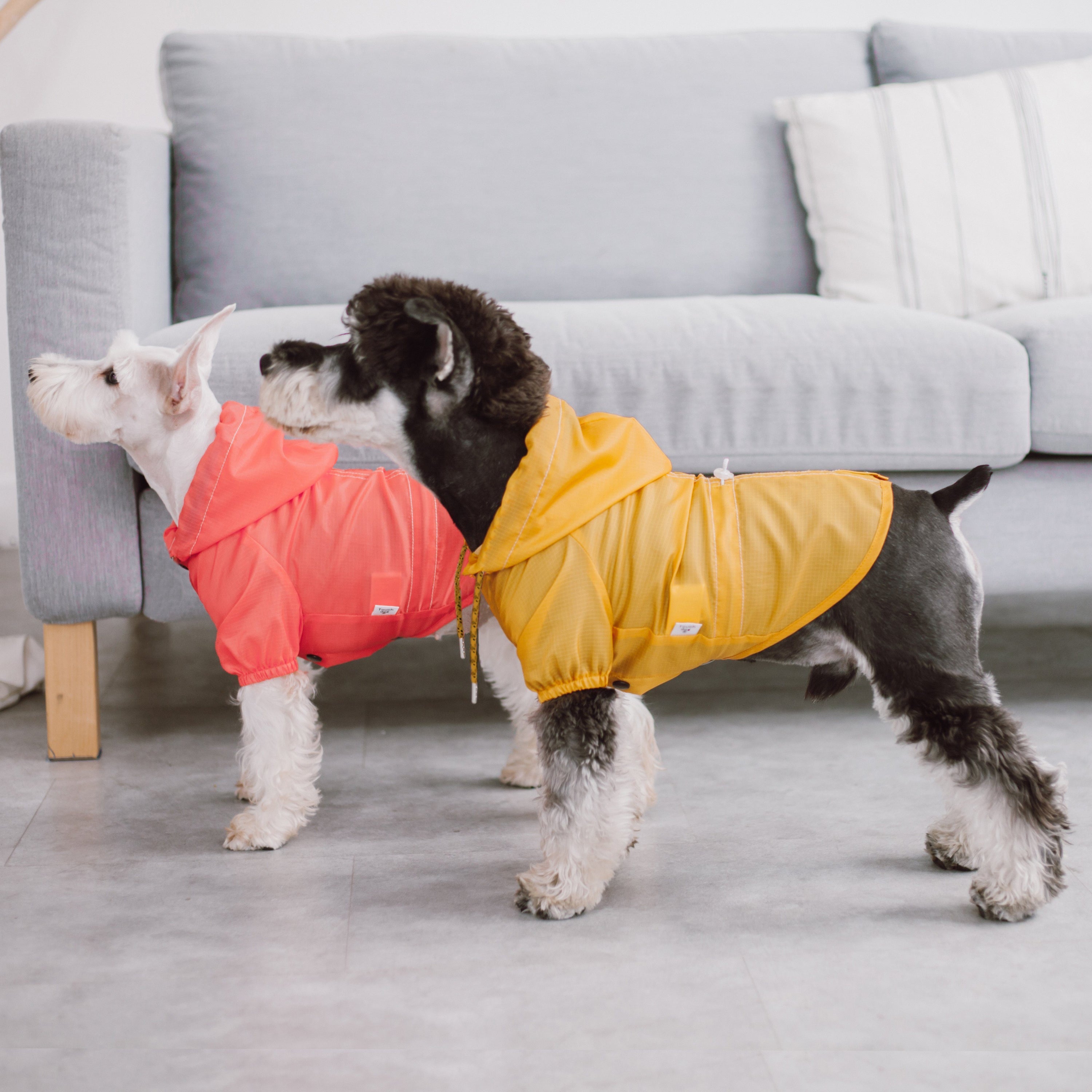 Touchdog Split-Vent Designer Waterproof Dog Raincoat  