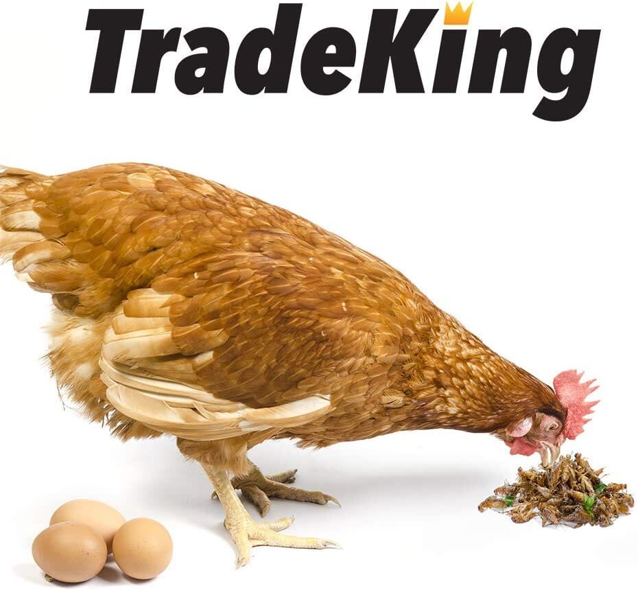 Tradeking Tradeking Dried Mealworms Wild Bird Food - 11 Lb  