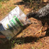 Tradeking Tradeking Dried Mealworms Wild Bird Food - 11 Lb  