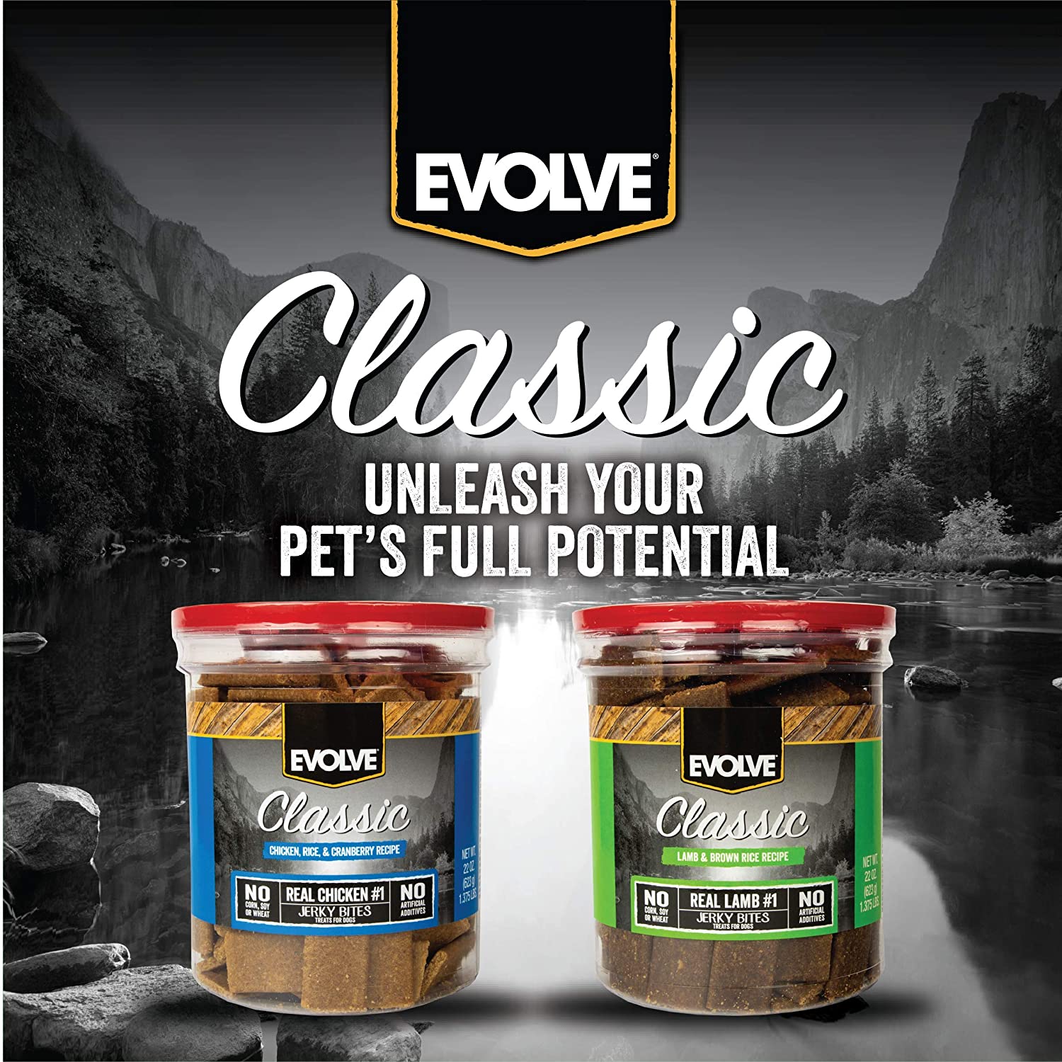 Triumph Evolve Nature's Menu Chicken & Cranberry Jerky Soft and Chewy Dog Treats - 22 oz - Case of 6  