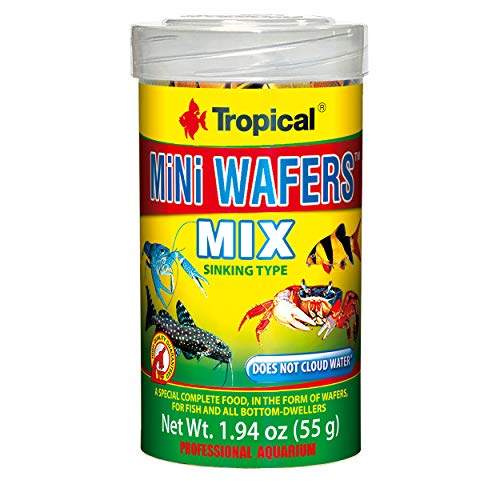 Tropical Mini Wafers Mix - 1.94 oz  