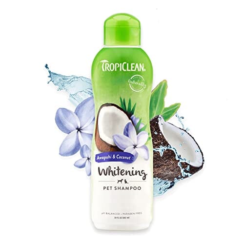 Tropiclean Awapuhi and Coconut Cat and Dog Shampoo - 20 Oz  