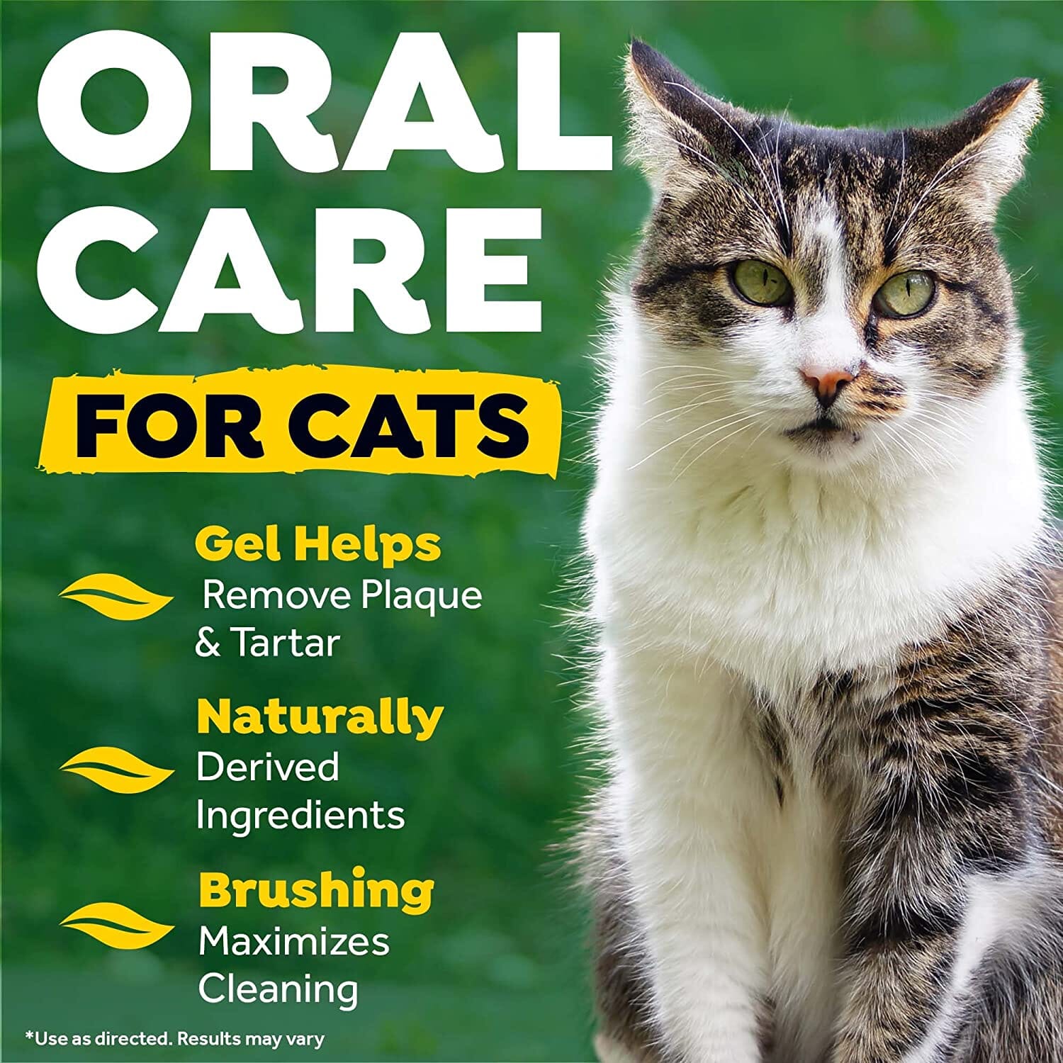 Tropiclean Fresh Breath Cat Oral Care Kit - 2 Oz  