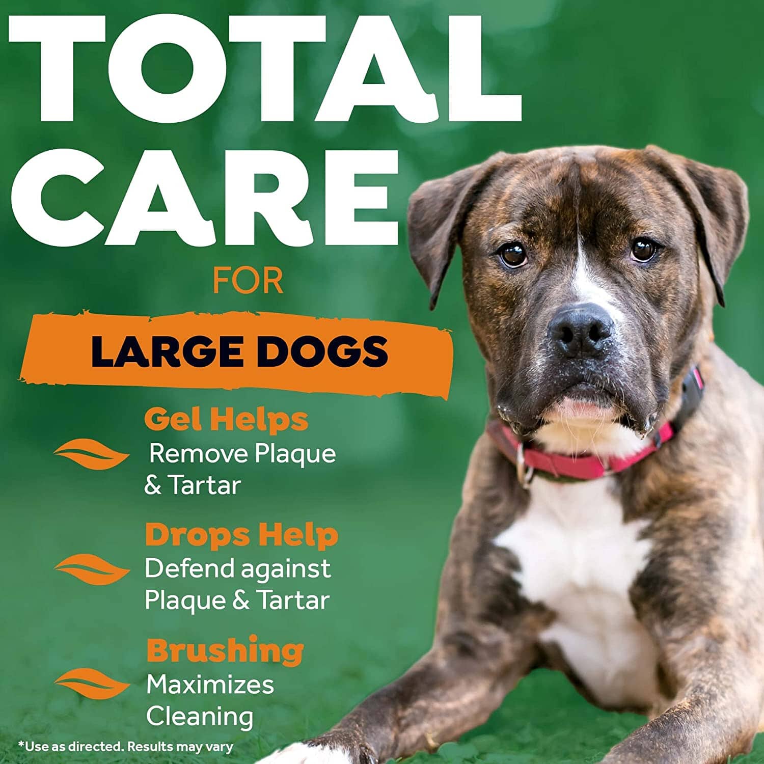 Tropiclean Fresh Breath Large Dog Total Care Kit - 2 Oz  