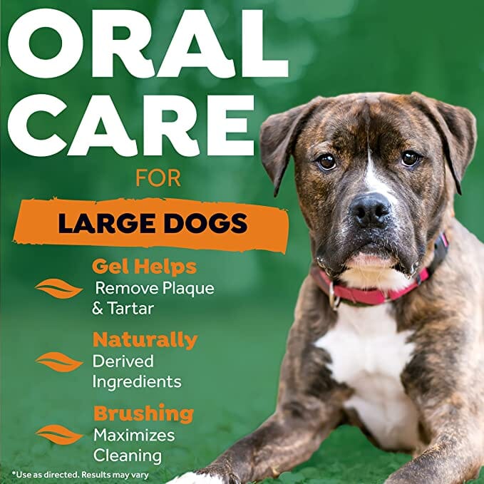 Tropiclean Fresh Breath Large Oral Care Kit for Dogs and Cats  