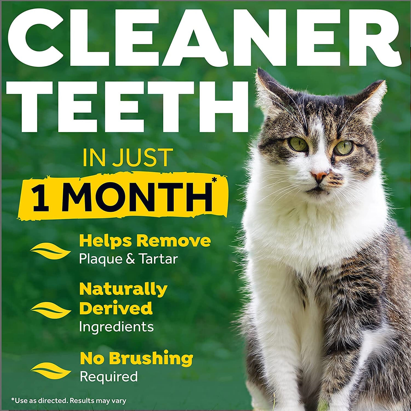 Fresh breath by outlet tropiclean for cats