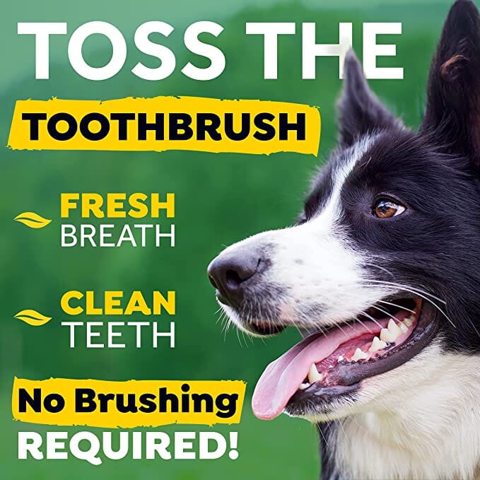 Tropiclean Fresh Breath Oral Care Dental Health Solution for Pets - 16 Oz  