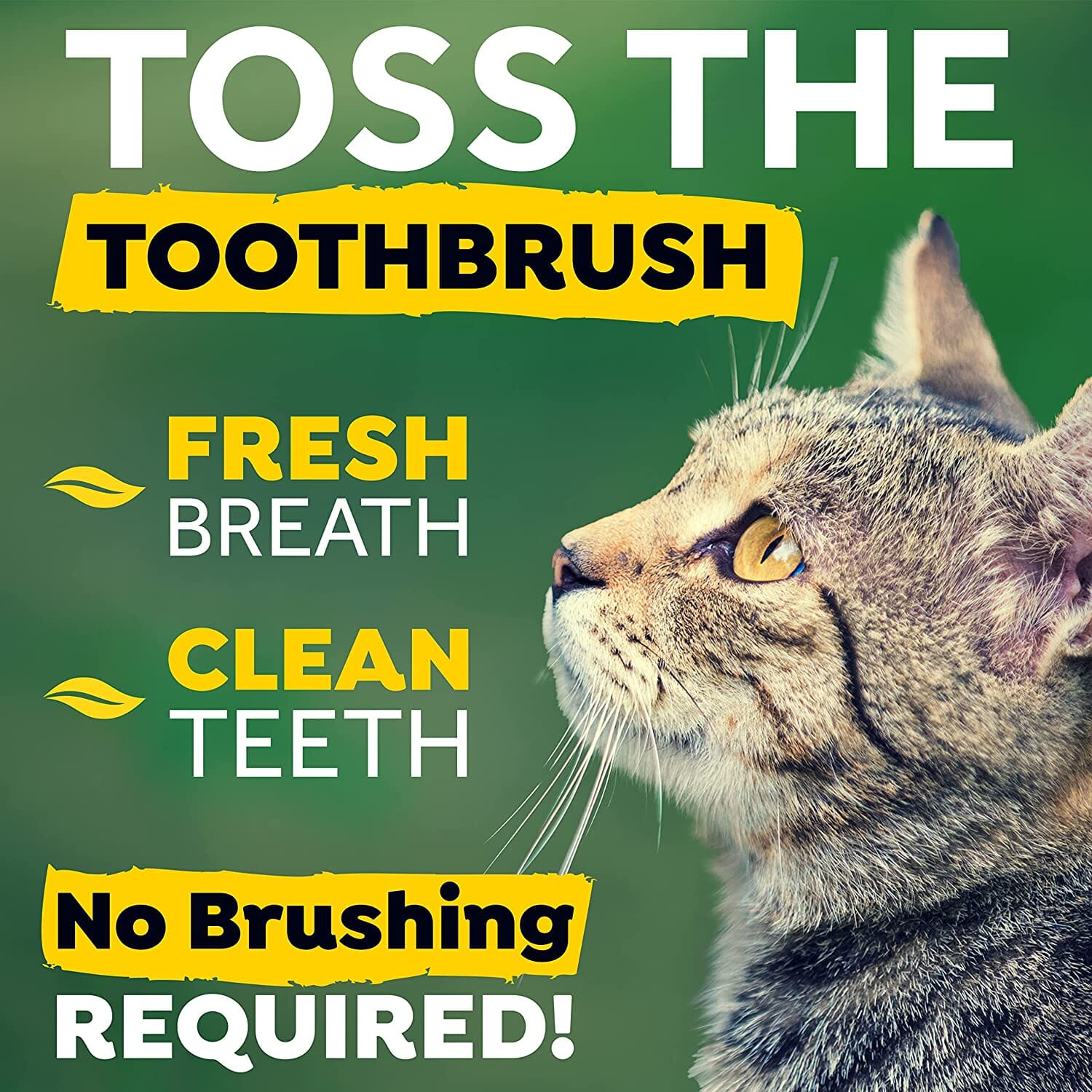 Tropiclean Fresh Breath Oral Care Drops for Cats - 2 Oz  