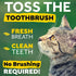 Tropiclean Fresh Breath Oral Care Drops for Cats - 2 Oz  