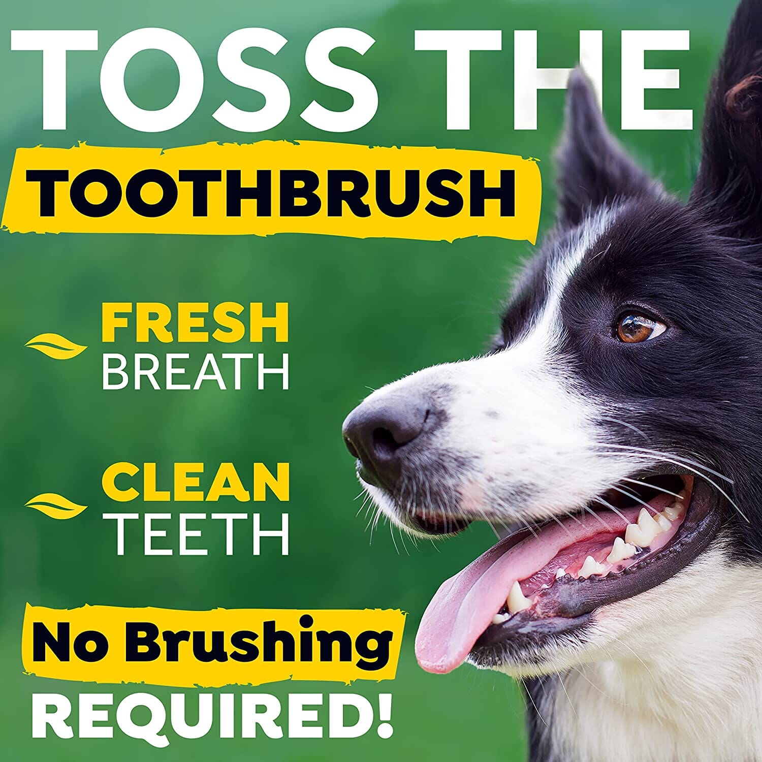 Tropiclean Fresh Breath Oral Care Drops for Dogs - 2 Oz  