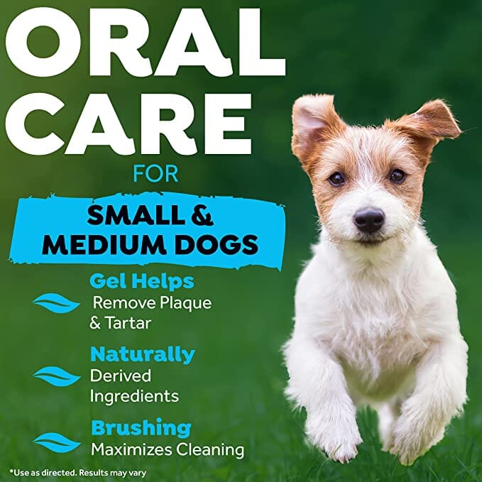 Tropiclean Fresh Breath Small Oral Care Kit for Dogs and Cats  