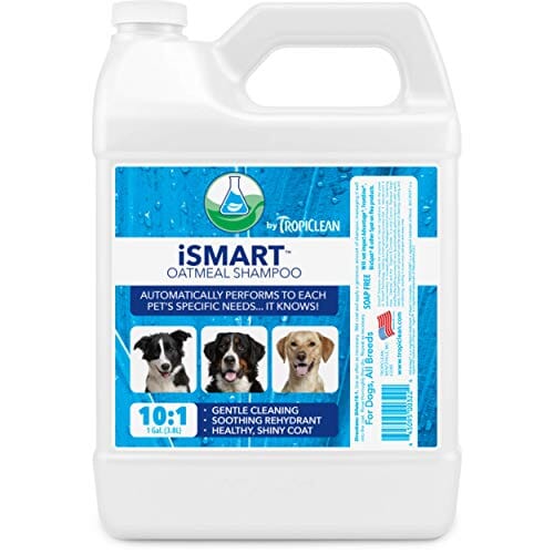 Tropiclean OxyMed iSmart Cat and Dog Shampoo 1 Gal Pet Life