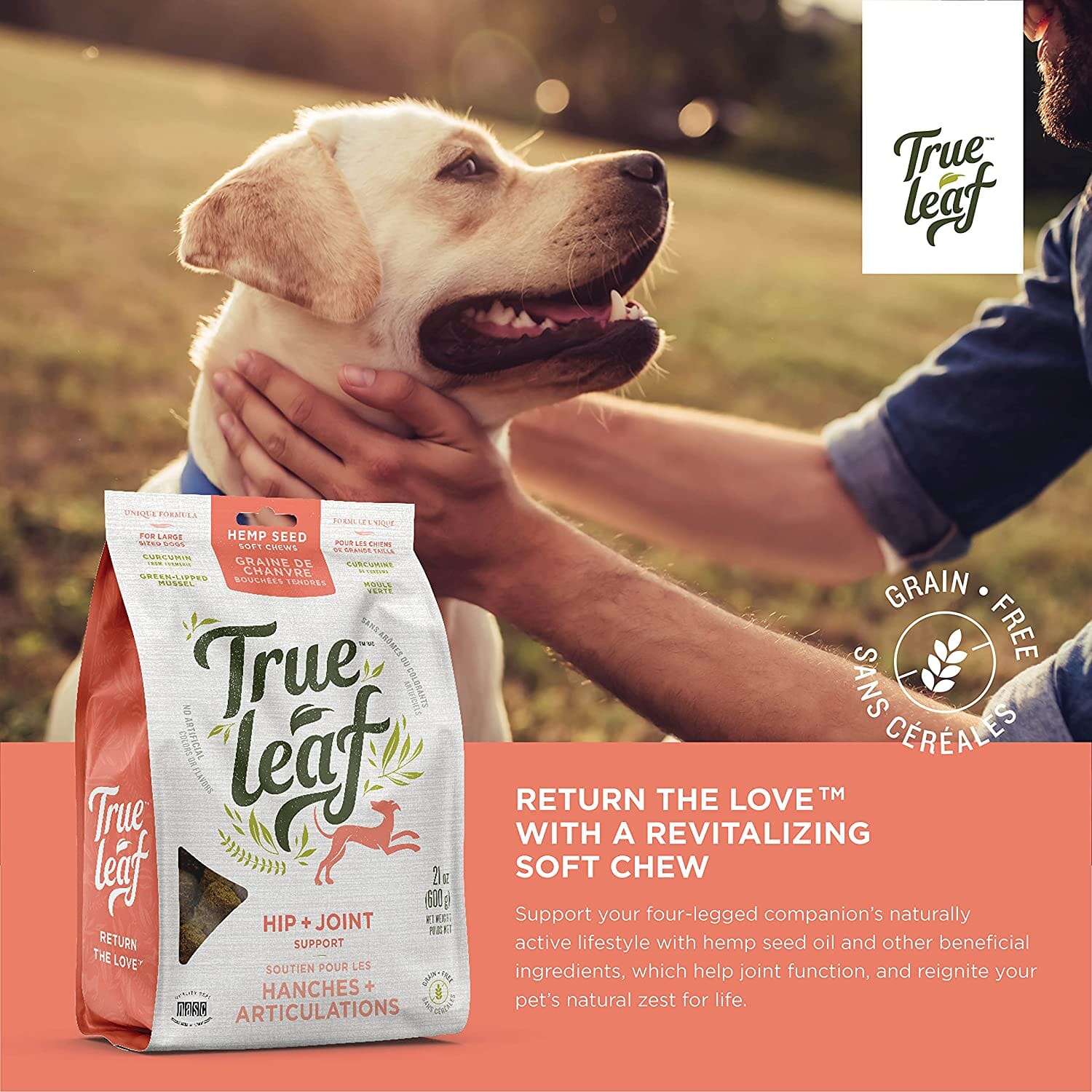 True Leaf Hip + Joint Support Hemp Seed Chews Dog Joint Care - 21 Oz  