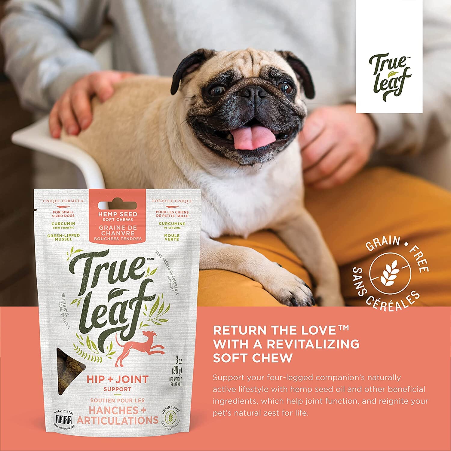 True Leaf Hip + Joint Support Hemp Seed Chews Dog Joint Care - 3 Oz  