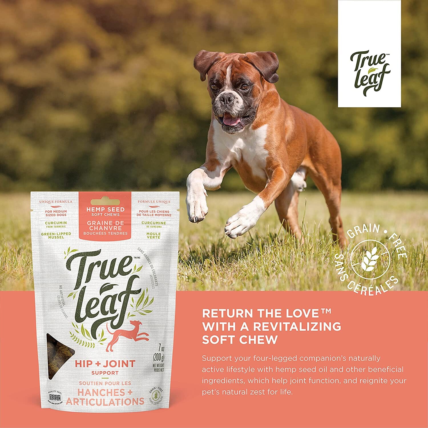 True Leaf Hip + Joint Support Hemp Seed Chews Dog Joint Care - 7 Oz  