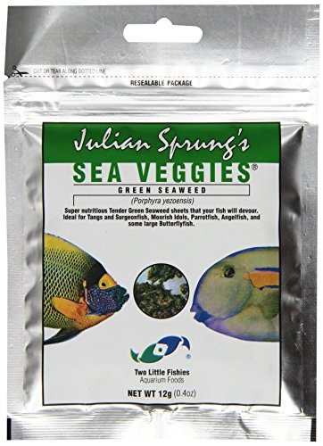 Two Little Fishies Julian Sprung's SeaVeggies Seaweed Pouch - Green - 12 g  