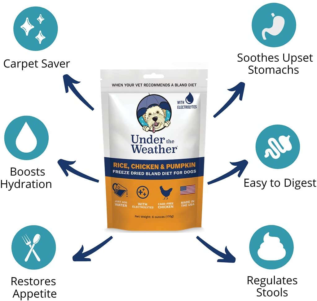 Under the Weather Chicken & Rice with Pumpkin Freeze-Dried Dog Food - 6 oz  