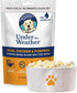 Under the Weather Chicken & Rice with Pumpkin Freeze-Dried Dog Food - 6 oz  