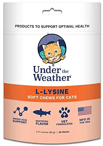 Under the Weather L-Lysine Chewy Cat Supplements - 60 Count  