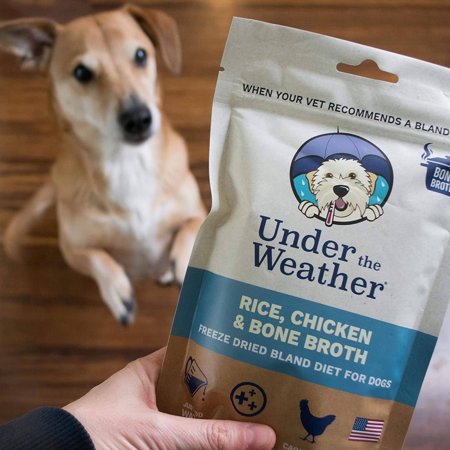 Under the Weather Rice, Chicken & Bone Broth Freeze-Dried Dog Food - 6.5 oz  