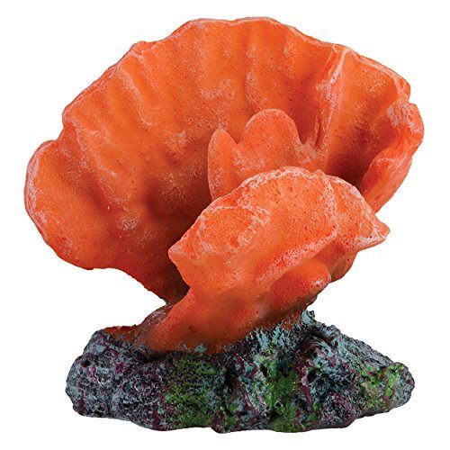 Underwater Treasures Acro Coral - Orange  