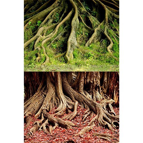 Underwater Treasures Amazon Root/Grassy Root Reversible Background - 20" - Sold by the ...