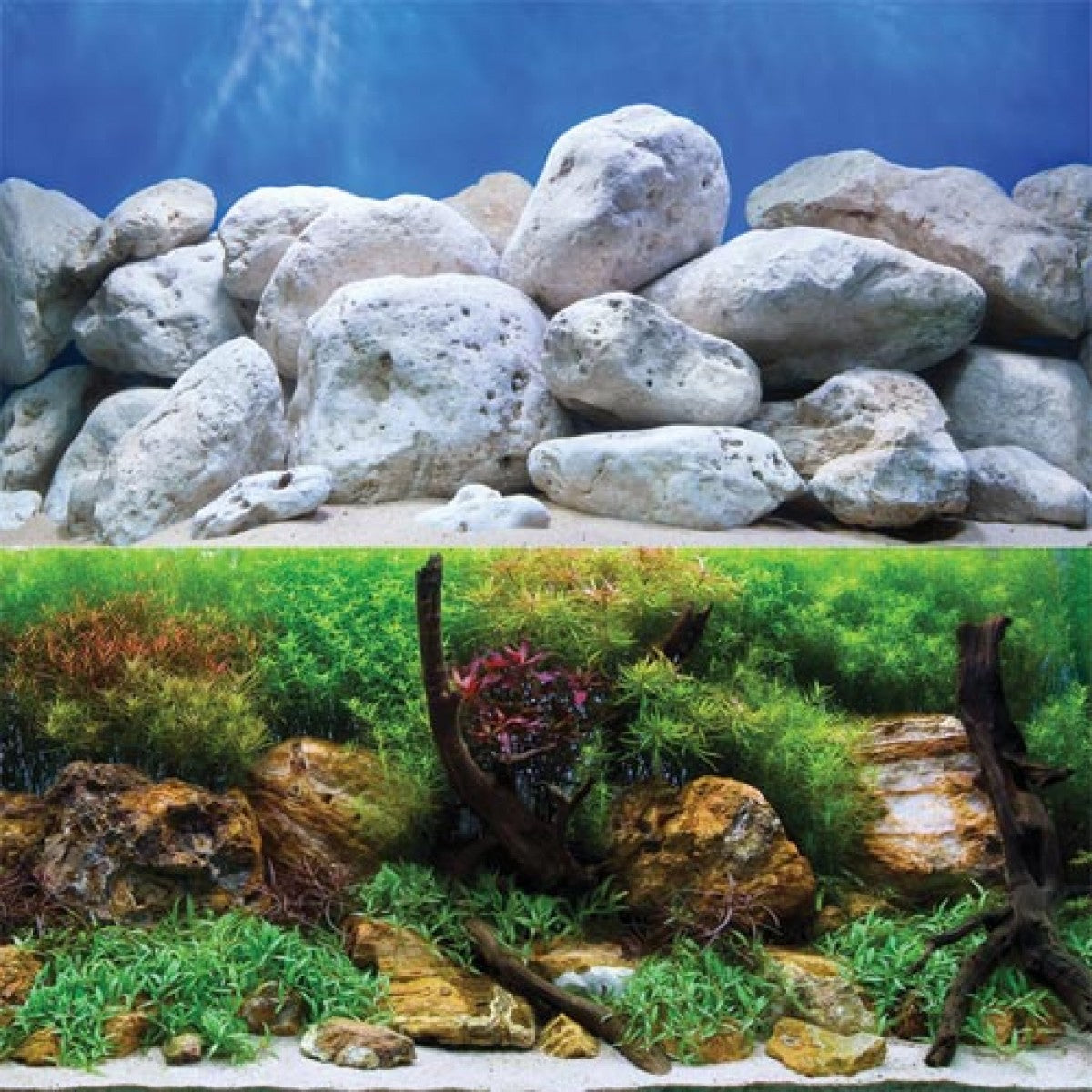 Underwater Treasures Aquagarden/White Stone Reversible Background - 24" - Sold by the Foot - 50 Feet  