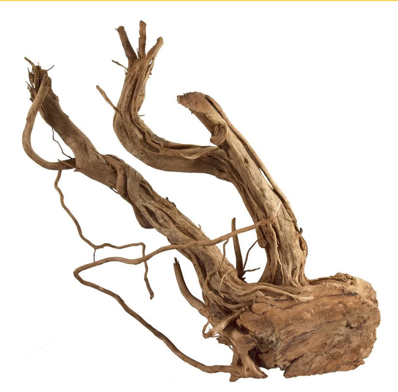 Underwater Treasures Azalea Wood - S Shape - Medium  