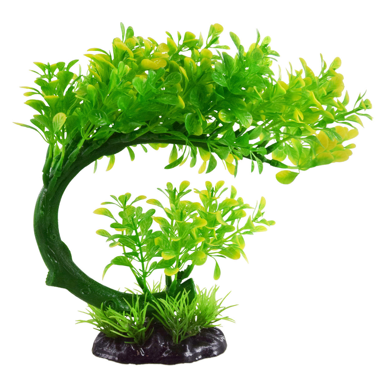 Underwater Treasures Bacopa Bonsai - Green/Yellow  