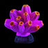 Underwater Treasures Barnacle - Pink/Yellow  