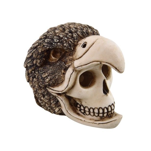 Underwater Treasures Birdman Skull  