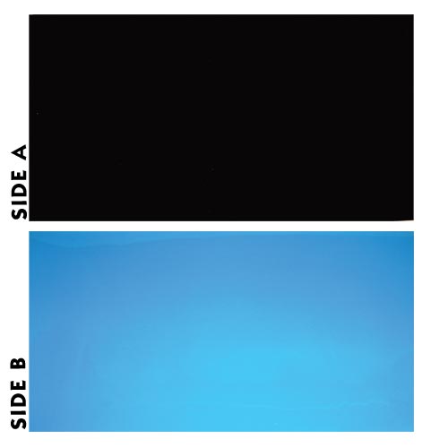 Underwater Treasures Black/Blue Reversible Background - 20" - Sold by the Foot - 50 Feet  