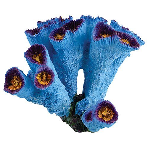 Underwater Treasures Blue Torch Coral